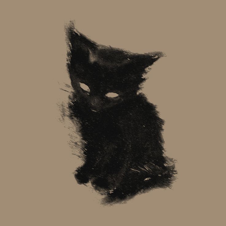 Black. (@blackdreamvibes) on Twitter photo 