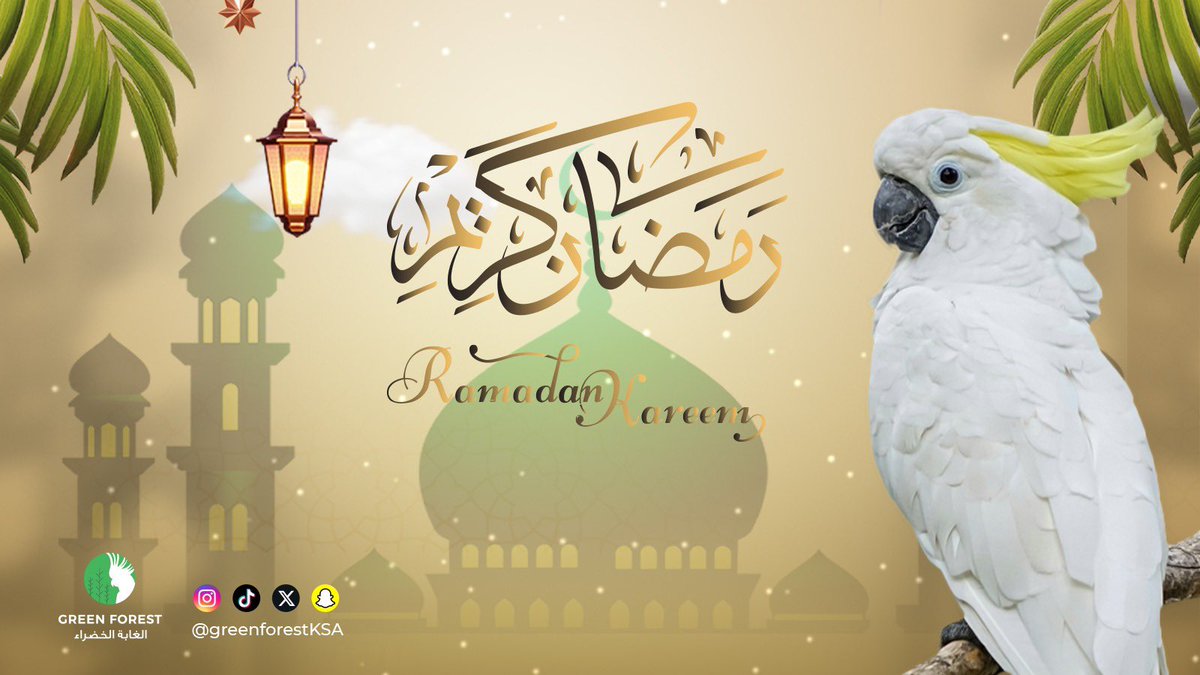 greenforestksa's tweet photo. مُبارك عليكم الشهر
جعل��ا الله وإياكم من صوامه وقوامه. 

#الغابة_الخضراء 
#طيور #ببغاء #حديقة_طيور
#fyp #fypシ #trending #trend #اكسبلور #حديقة_متنقلة #ترند #الرياض #المملكة_العربية_السعودية #رمضان #رمضان_كريم #رمضان_يجمعنا 🌙 https://t.co/IcUieDw2oV