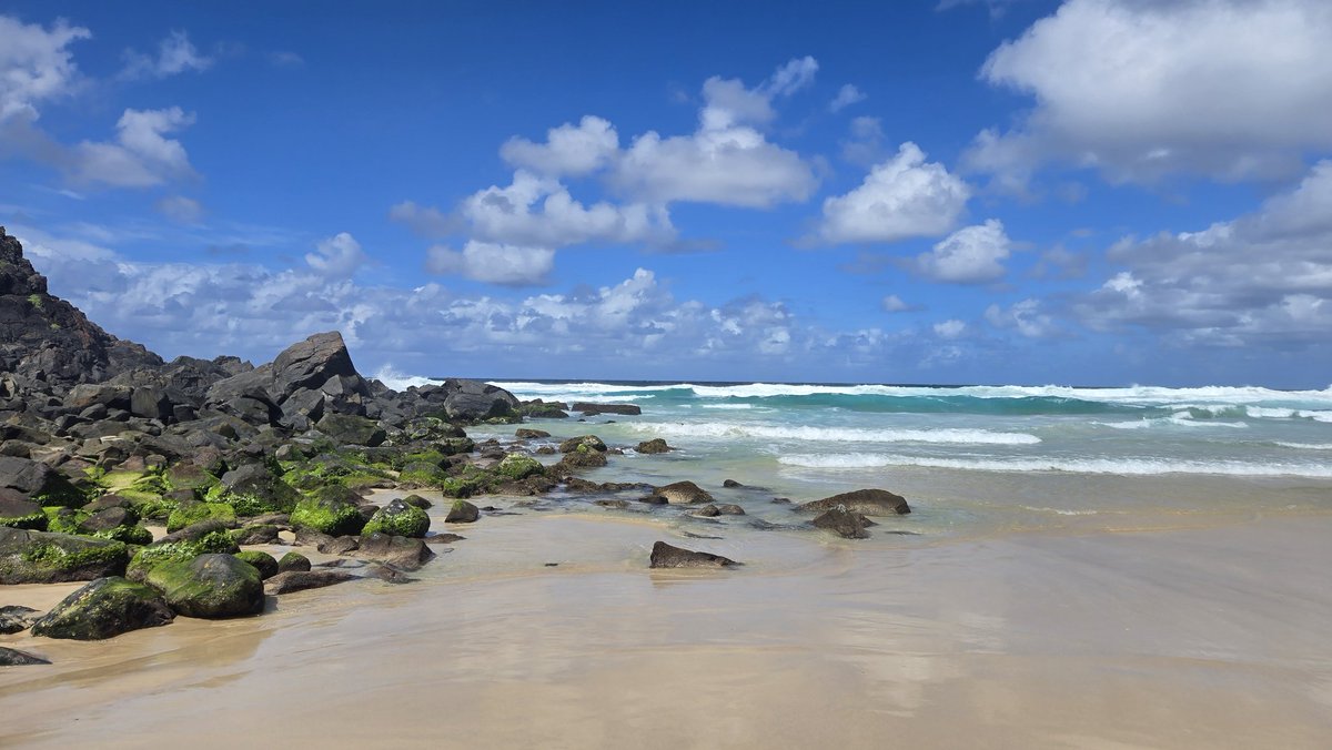 Went for a swim at this beach yesterday. 

Got seriously sunburnt and stung by a Portuguese Man o' War Jellyfish all up my arm and leg. 

I love Australia.