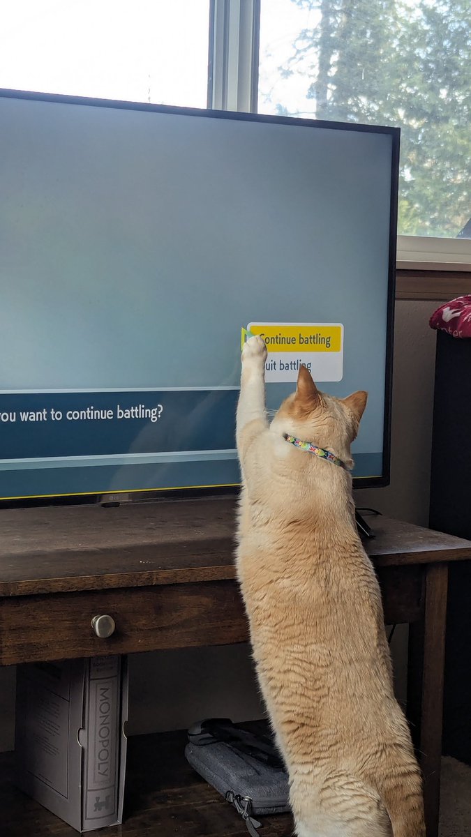 Konafor_'s tweet image. cat no please im already x-10 I can't continue anymore