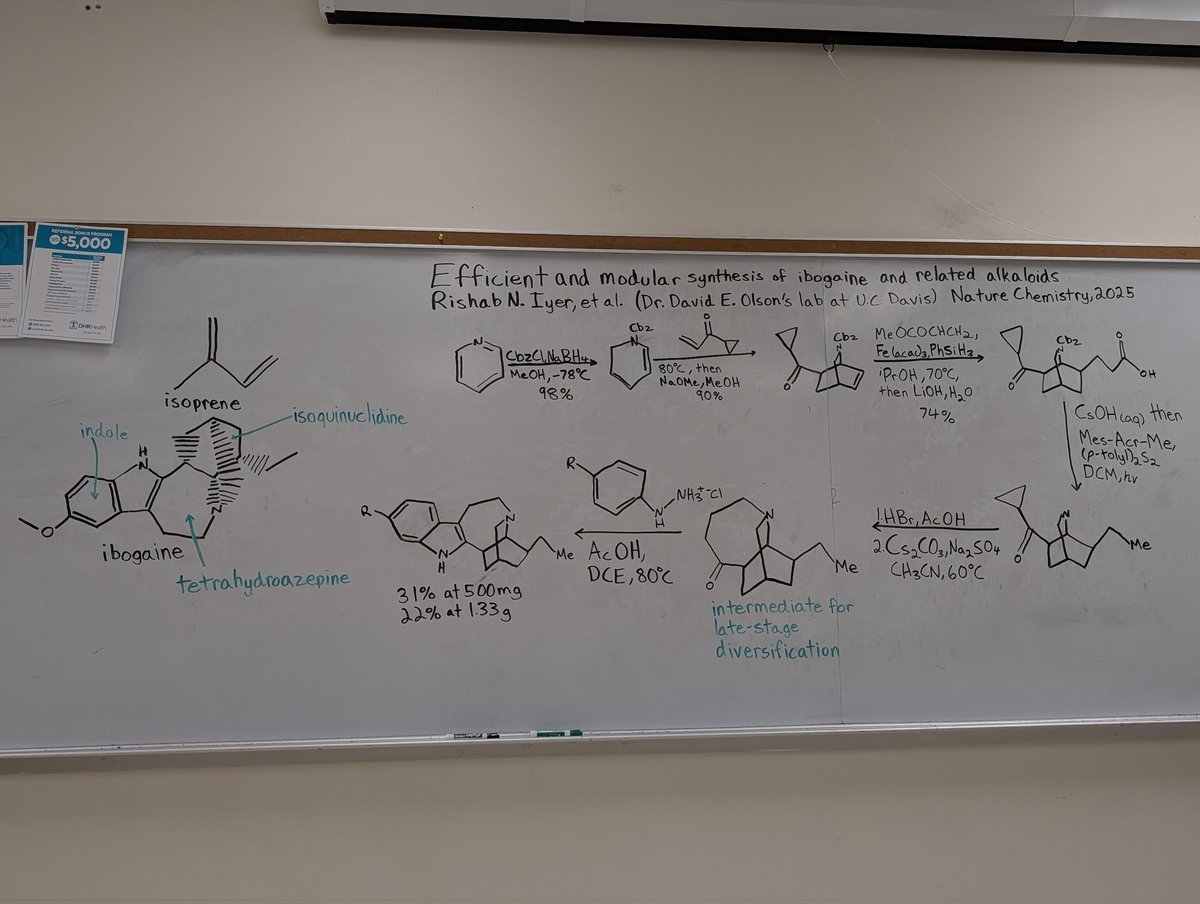 EmilyRHall's tweet photo. Yesterday I gave a talk about a research article from @DEOlsonLab on the total synthesis of ibogaine and related molecules. Ibogaine has anti-addictive properties, is used in opioid addiction treatment, and is a psychoplastogen. https://t.co/0fTUNd1b0x