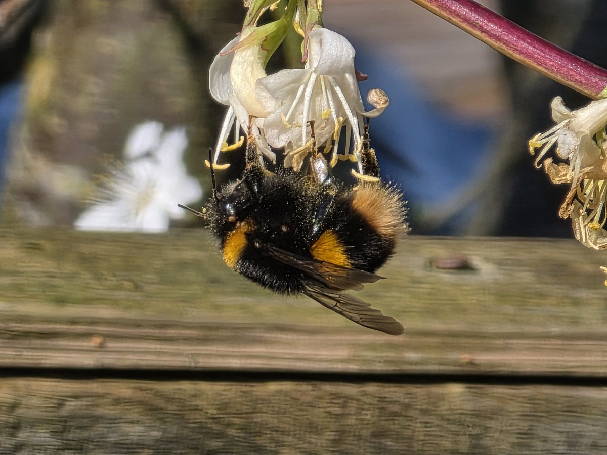 Steve Walker tweet media