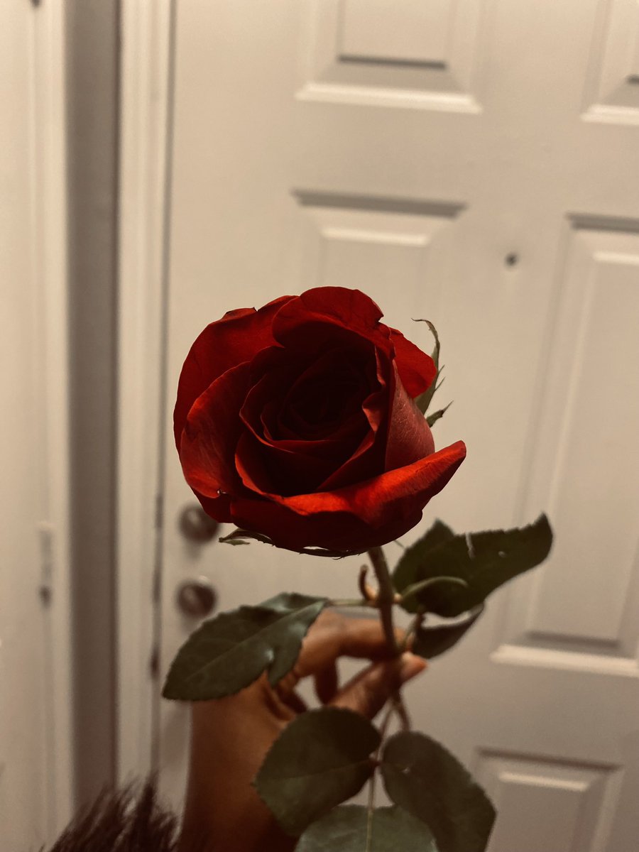 marcheawiley's tweet image. More jazz lounges all 2025 ❤️