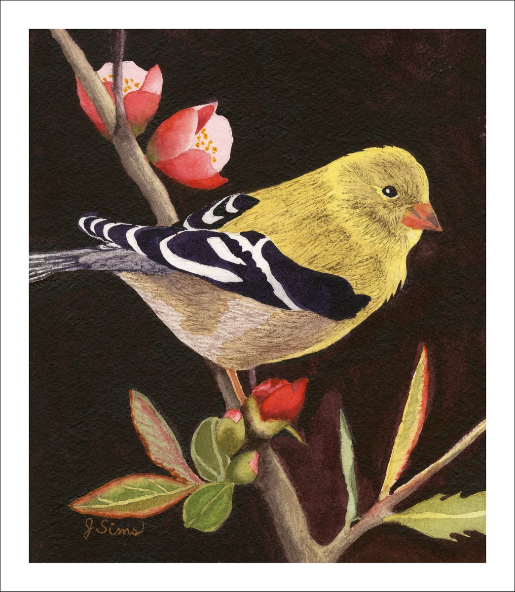 SweetD_NFT tweet media