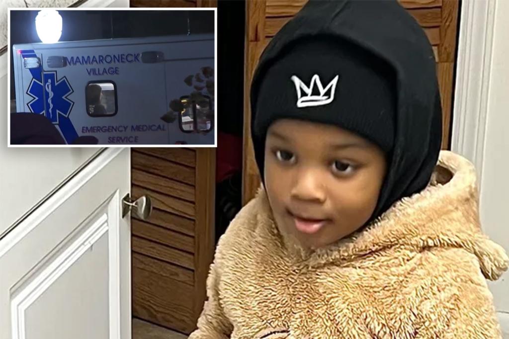 Fatal drowning of 3-year-old in Westchester leaves mother hospitalized with grief, family devastated trib.al/7K40jAe