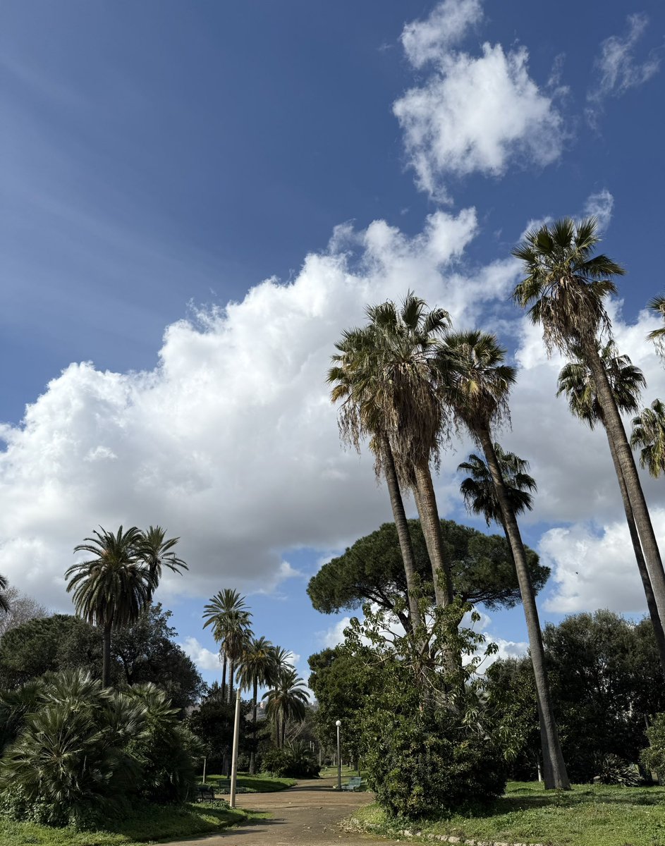 Idag uppfylls jag av just det