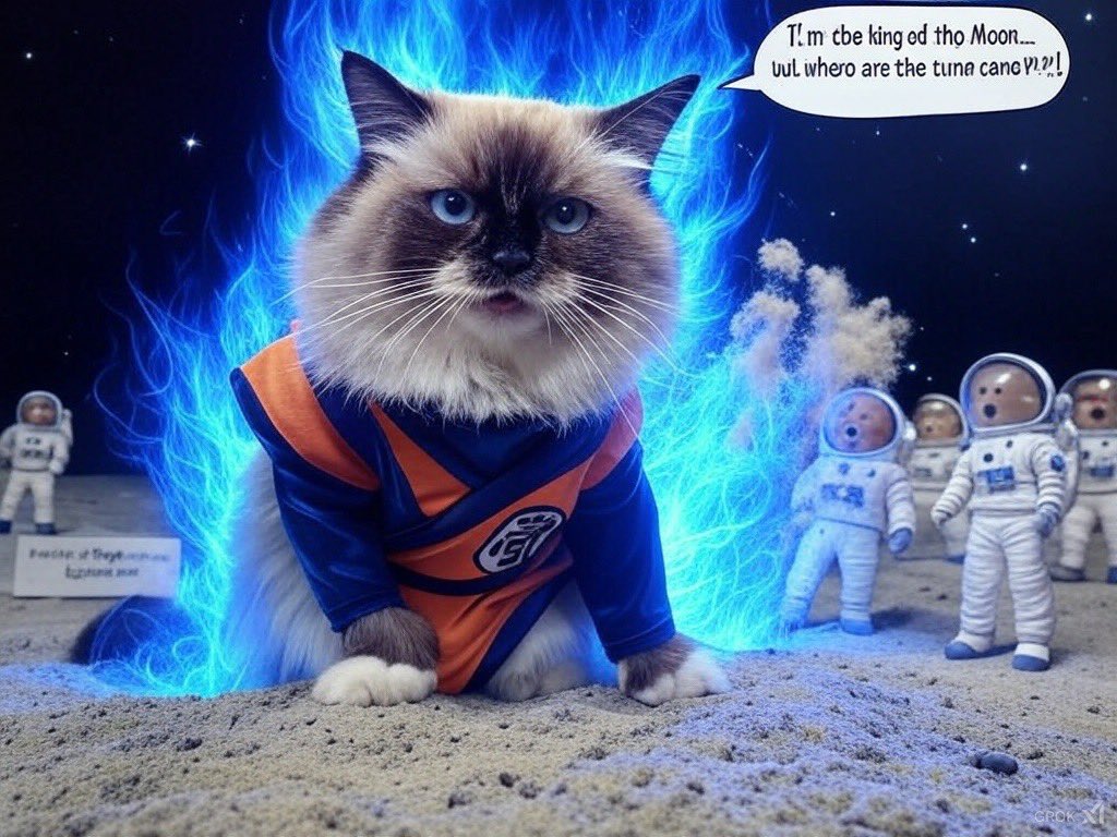 mi35156's tweet photo. @coinbase literally created @MrMigglesOnBase … and tomorrow, Miggles is landing on the Moon 🚀🌕! @sarahzorah @base , no way you let such a historic moment go unnoticed. Will you make history with us? 👀 #ToTheMoonForReal
#miggles #nasa #usa https://t.co/oP5zM3EYNS