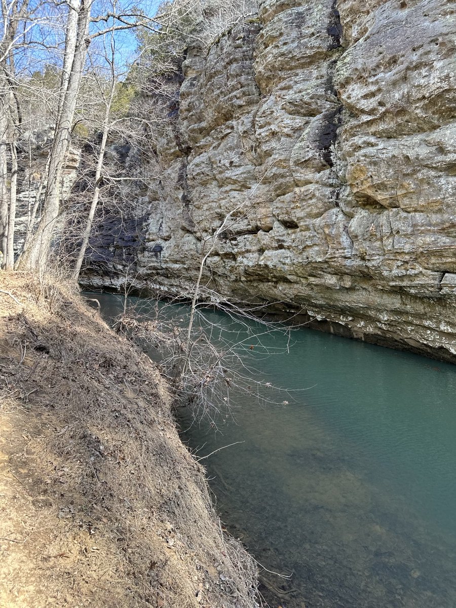 chrisasimpson's tweet photo. Early spring hike in the Lusk Creek Wilderness Area ⁦@ShawneeNF⁩ . https://t.co/4q5ebllSHi