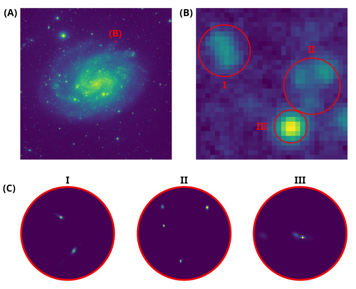 We’ve introduced a device-agnostic AI for super-resolution imaging—no calibration required! From molecules to galaxies, our DAMN model reconstructs ultra-high-resolution images. Smarter, faster, &amp; universally adaptable! Read more: arxiv.org/abs/2502.18637
#AI #SuperResolution