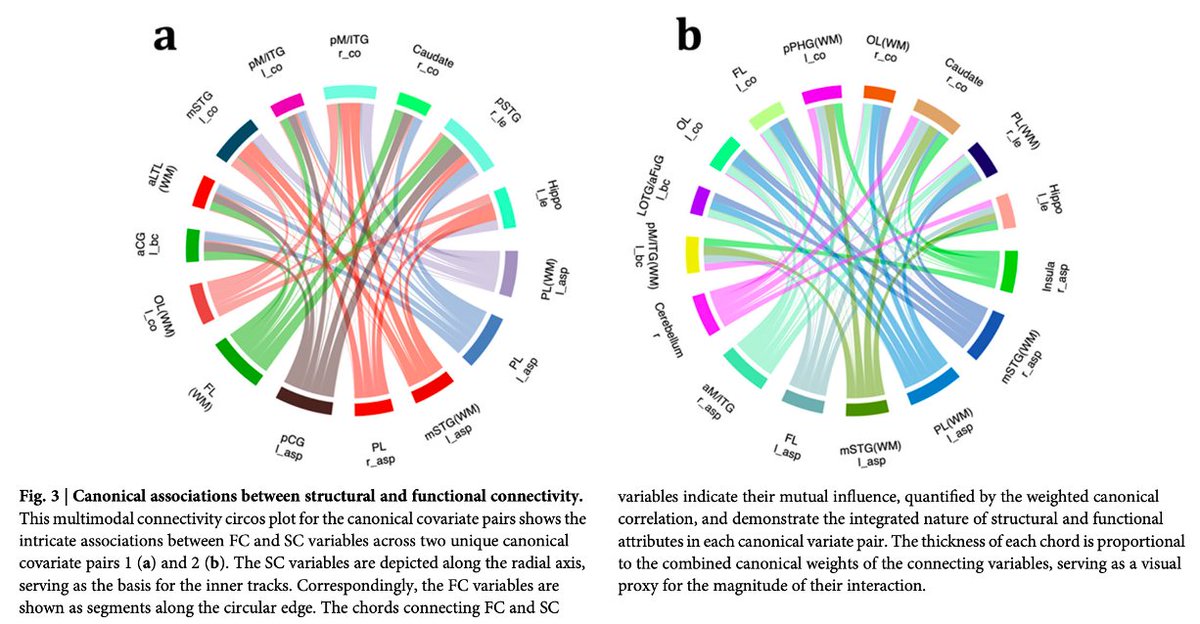 Nehal Parikh, DO, MS (@drnehalparikh) on Twitter photo Another bright mentee (Abiot Derbie, PhD) found early brain structural connectivity guides functional connectivity and antecedes development of executive function at age 3 in very #preterm children. <a href="/CommsBio/">Communications Biology</a> <a href="/LeanneTamm/">Leanne Tamm</a> <a href="/AI_CAD_CCHMC/">Lili He</a> rdcu.be/ebOg3 Another bright mentee (Abiot Derbie, PhD) found early brain structural connectivity guides functional connectivity and antecedes development of executive function at age 3 in very #preterm children. <a href="/CommsBio/">Communications Biology</a> <a href="/LeanneTamm/">Leanne Tamm</a> <a href="/AI_CAD_CCHMC/">Lili He</a> rdcu.be/ebOg3