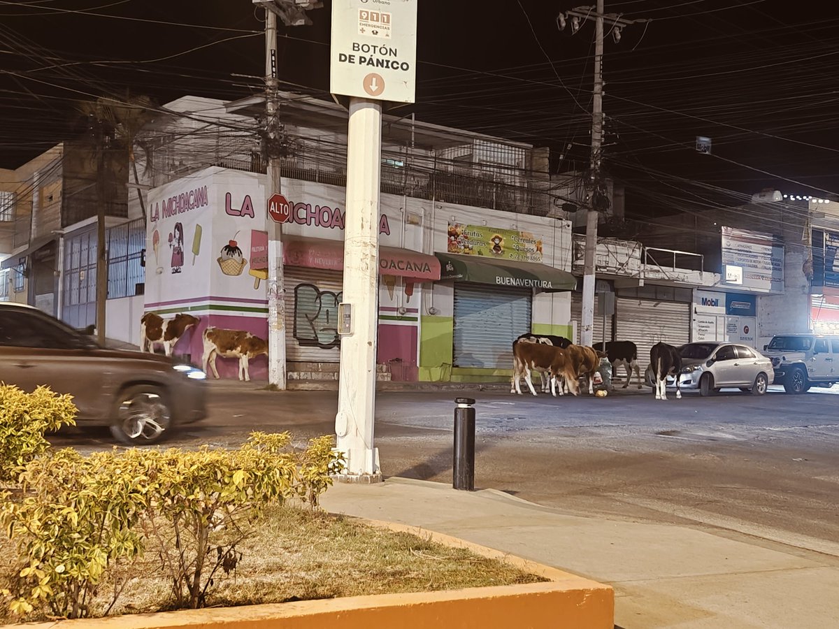 Dulce 🍓 tweet media