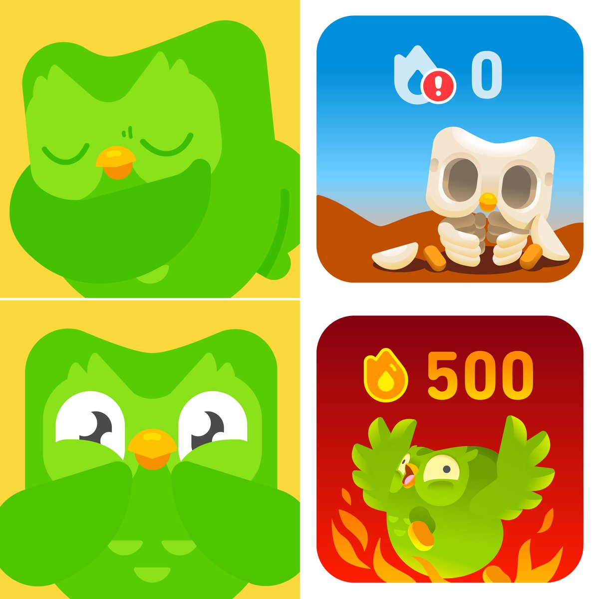 Duolingo_Japan's tweet photo. 連続記録を監視しているときのぼく https://t.co/kF9wr9lYdW