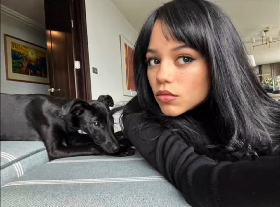 best of jenna ortega (@jennasfiles) on Twitter photo 