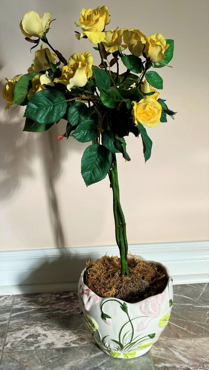 TransitionSquad's tweet photo. Mississauga Online Auction Ends Fri Mar 07, 9:00 PM EST

Check out the great deals at https://t.co/F5XUX86Sik

#auction #onlineauction #bidonline #onlinebidding #estatesale #garagesale #secondhanditems #secondhandshopping #thrifting #thrift #antique #Mississauga #Ontario #Canada https://t.co/mQ40NytdKc