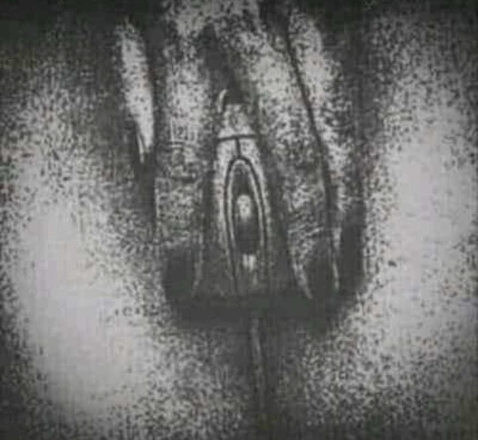 katedior._| KateMètrèsLa♓︎| Ψ 💘𓎥𓆙 tweet media