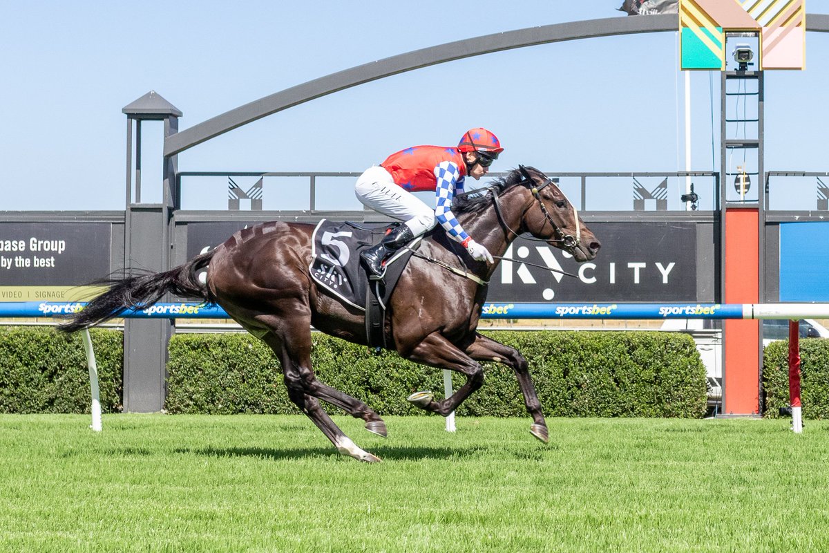 aaronbainracing's tweet photo. Bold running Dubai Focus gave his rivals a galloping lesson at Morphettville Parks on Saturday, March 1.

Resuming from a spell, trainers Aaron Bain and Ned Taylor had the three-year-old primed a brilliant return in the SkyCity Handicap (1400m).

Read more: https://t.co/KK7xK6YKmM