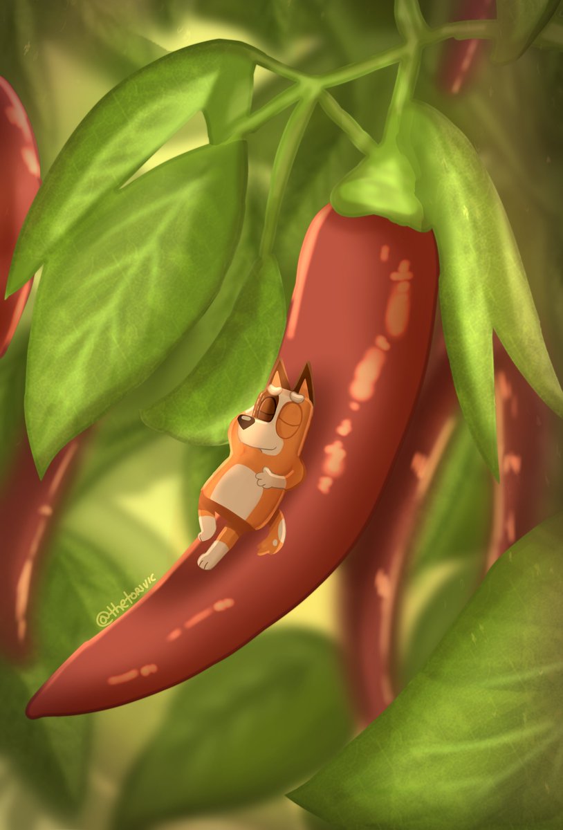chilli chillin' on chilli