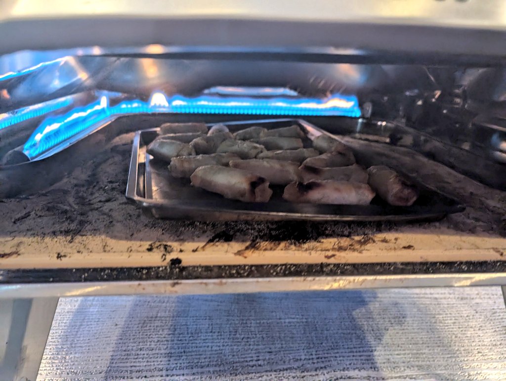 Oven broken? We hibachi! And spring rolls!