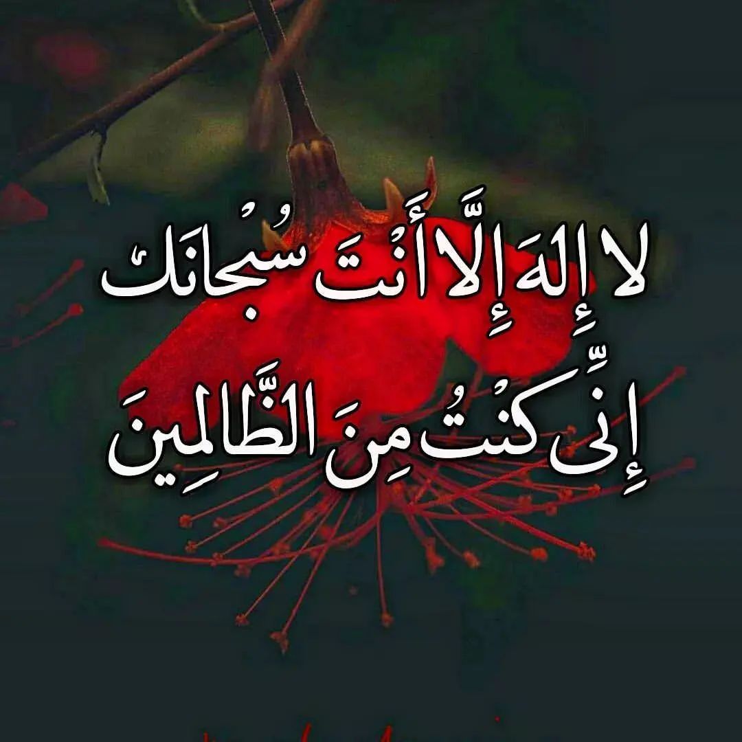 Hassan Kandil 3 (@hassankandil31) on Twitter photo  Hassan Kandil 3 (@hassankandil31) on Twitter photo