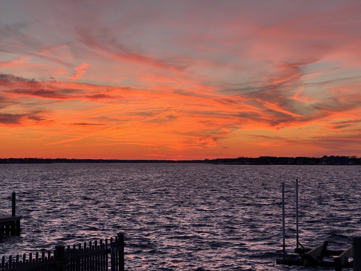 TPL🇺🇸 tweet media