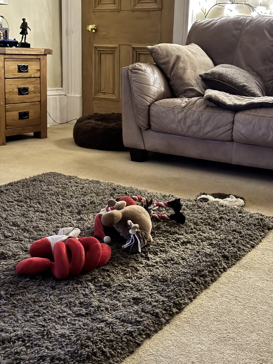 Planetary alignment (Jasmine Bollan, 2025).