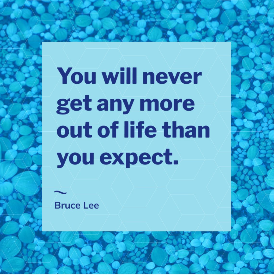 Next Official (@allaboutnext1) on Twitter photo 