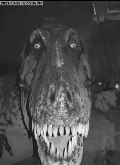 I❤goth girls tweet media