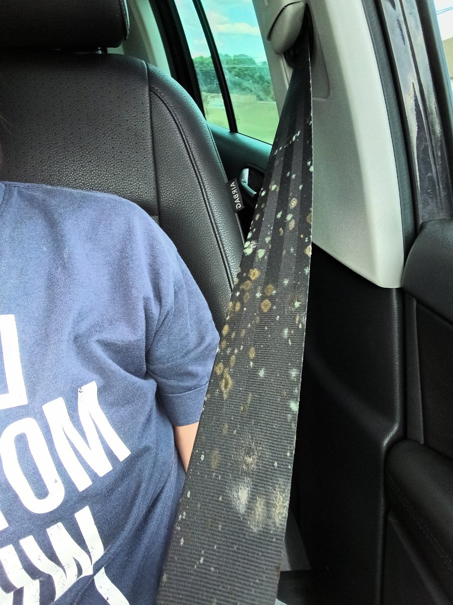TravisR62470980's tweet photo. @Carvana looked great online..not quite family safe as we thought. Carvana Care to explain https://t.co/H3FtpGHgV5