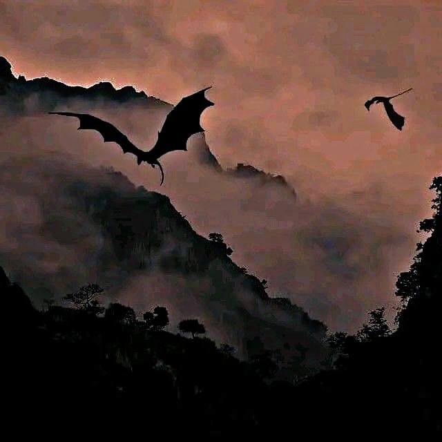 — 𝔉𝔦𝔯𝔢 𝔴𝔦𝔢𝔩𝔡𝔢𝔯 tweet media