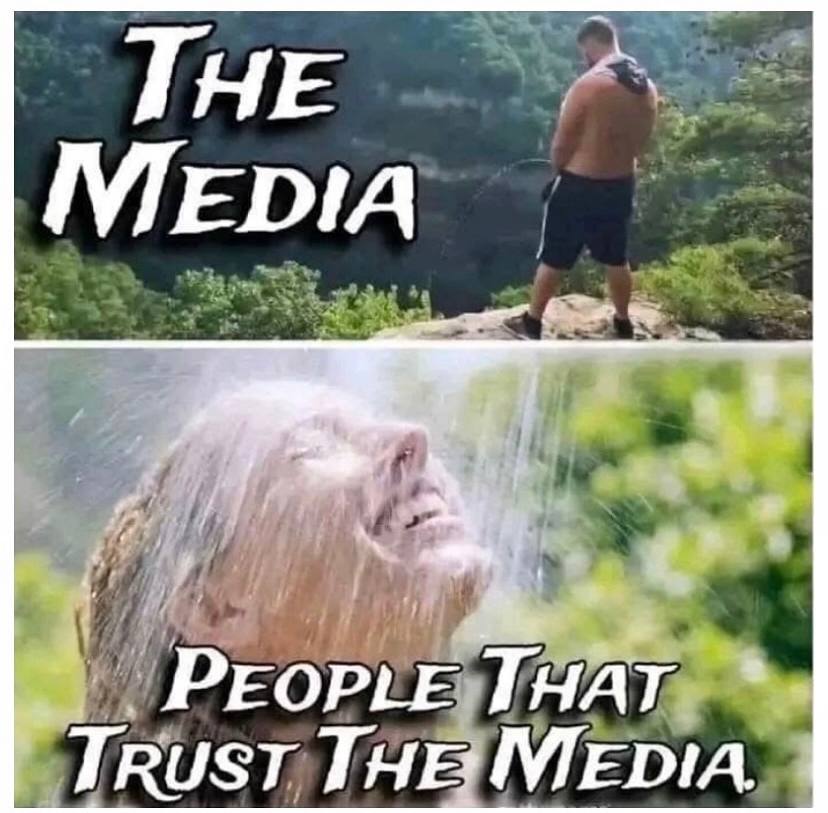 A cria de idiotas!
The spawn of idiots!