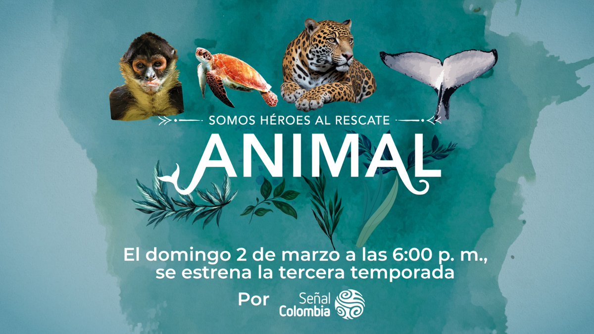 Señal Colombia tweet media