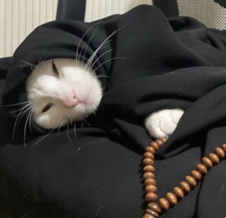 me after sehri waiting for fajr