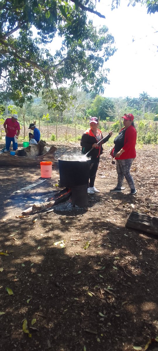 odaimis1's tweet photo. Organizado por el INDER, cultura y El Joven Club de Computación y Electrónica Florencia III, se realiza un ´´ A Jugar ´´ Municipal entre las segundarias básicas, donde el ganador va a competir en la Provincia, complementado por una rica caldosa criolla. #JovenClubTeConecta https://t.co/vpbXYQzgBU