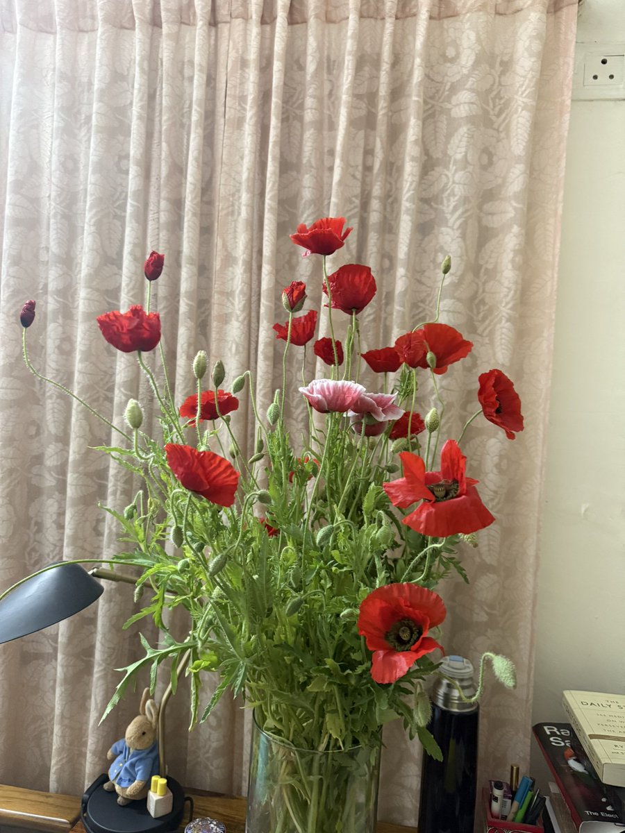 imkongla's tweet image. Spring is in the home!