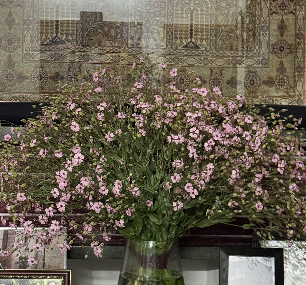 imkongla's tweet image. Spring is in the home!