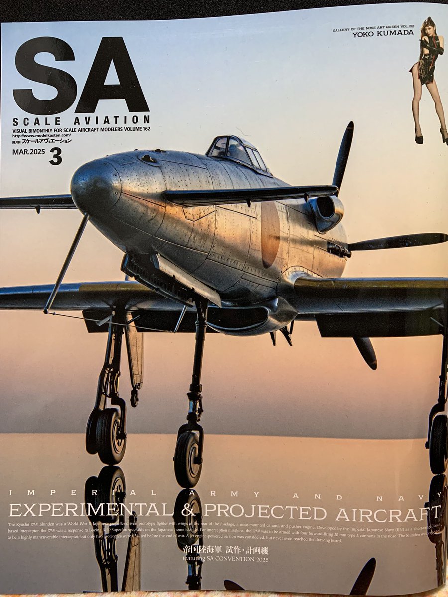 発売中のスケールアヴィエーション✈️ NQは熊田曜子さん！！ ポール