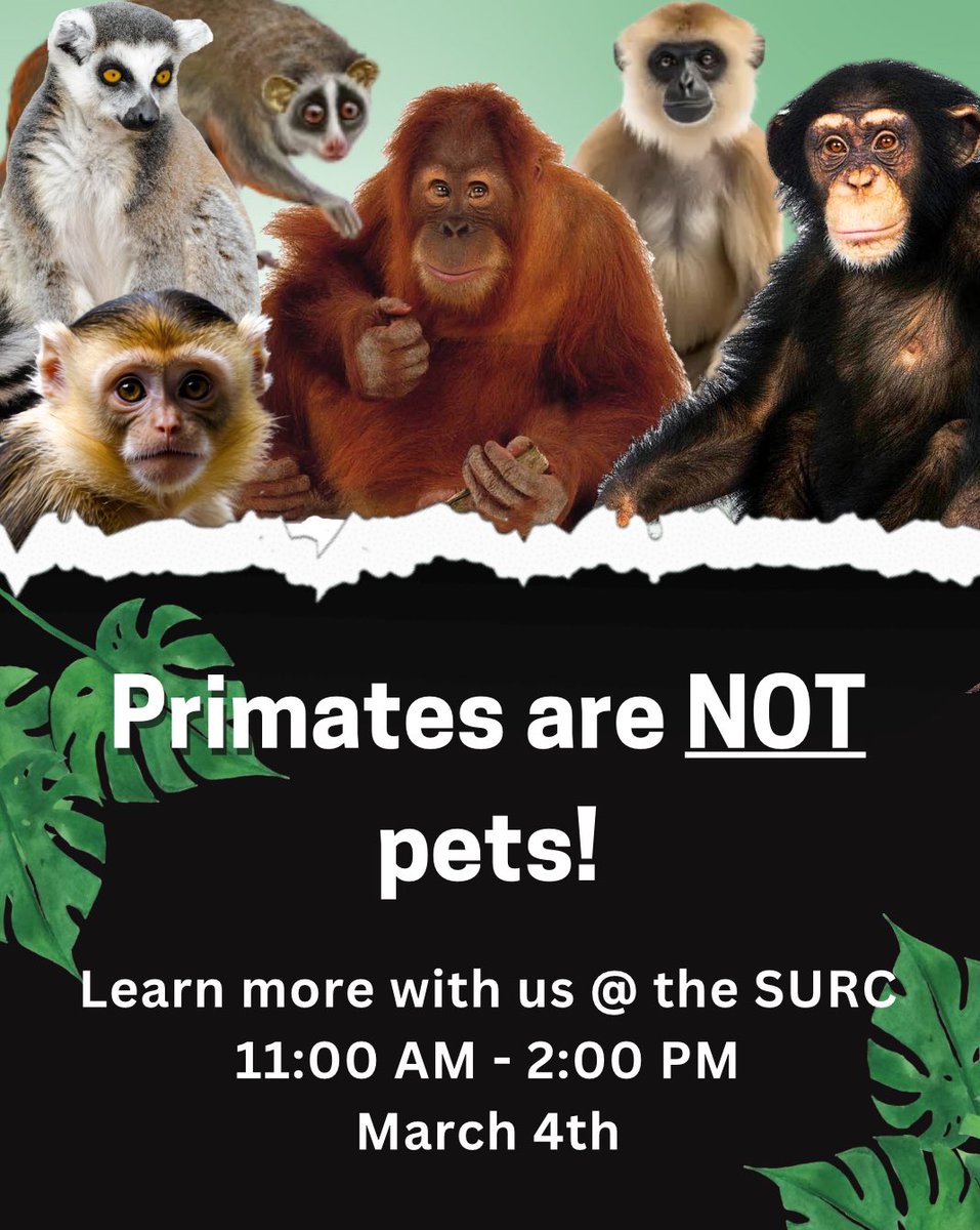 Primates are not pets! Come by the SURC to learn why primates are not meant to be kept as pets and how it can be harmful to do so. 

When: March 4th
Time: 11am - 2pm
Where: the SURC

#PAN #CWU #CentralWashingtonUniversity #ellensburg #primatesarenotpets
