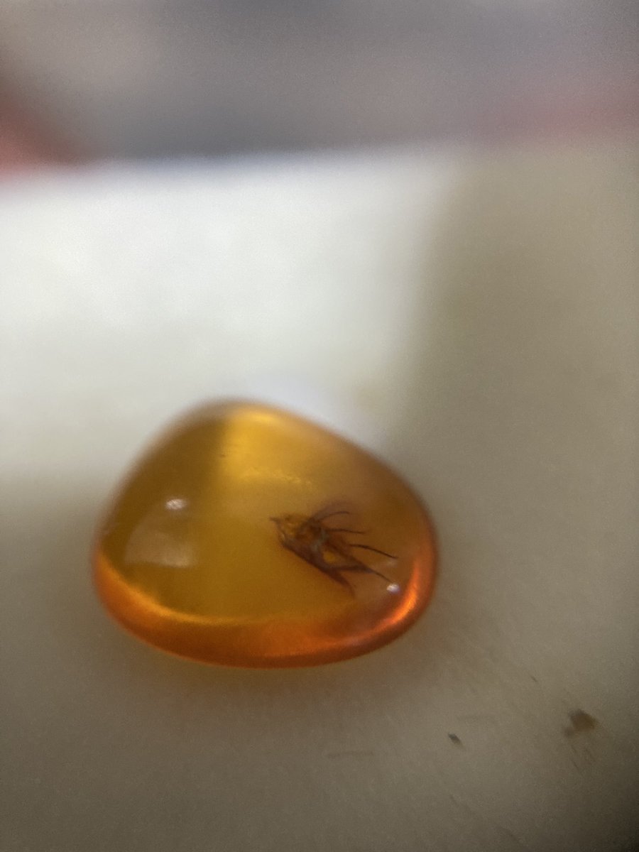 専用 本琥珀 古代クモ入 47g 東Y7-1001☆2F 琥珀原石『UNIDENTIFIED』K