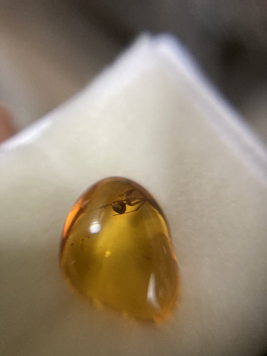 専用　本琥珀　古代クモ入　47g 東Y7-1001☆2F 富士山琥珀糖 単品 琥珀富士 カキタガワブルー あかね富士 手