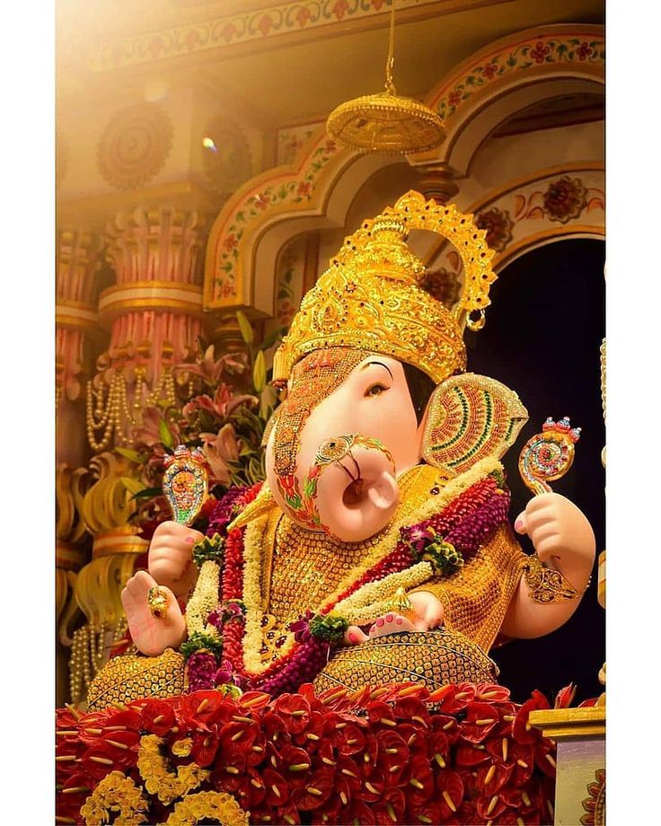 जय गणेश जय गणेश,
जय गणेश देवा ।
माता जाकी पार्वती
पिता महादेवा ॥🥀🌿
                  एक दंत दयावंत,
                  चार भुजा धारी ।
                  माथे सिंदूर सोहे
                  मूसे की सवारी ॥🥀🌿

जय श्री गणेश जी महाराज!!🌸🚩🙏♥️
