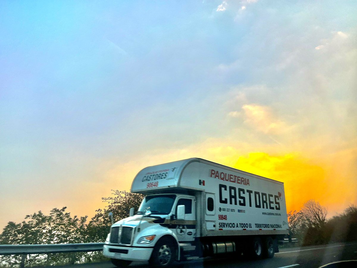 PaoTorres tweet media