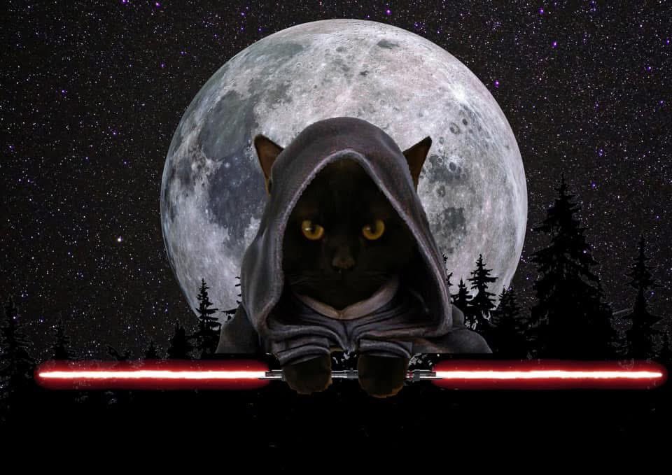 My cat is awesome his claws are like lightsabers so i thought this design was quite fitting. 

Meet Darth Max 😁