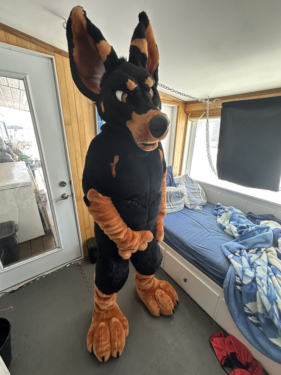 Smellyhockey's tweet photo. Happiness is getting inside a fursuit again. Thanks @GraelTheDragon for the amazing experience. 

Woof! https://t.co/R6m9Os3d0r