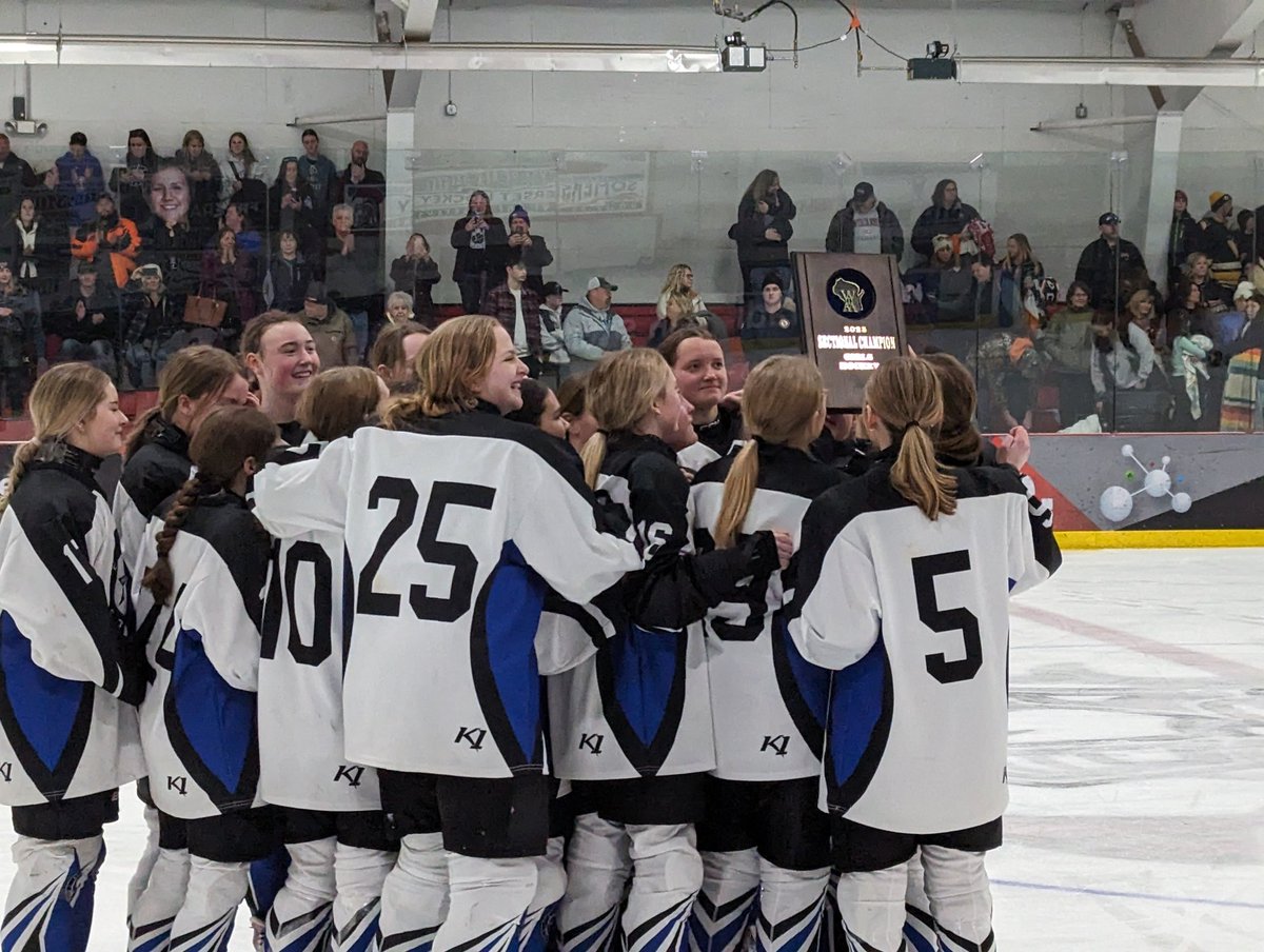 Stars on to State!!!! 1-0 win over BRF