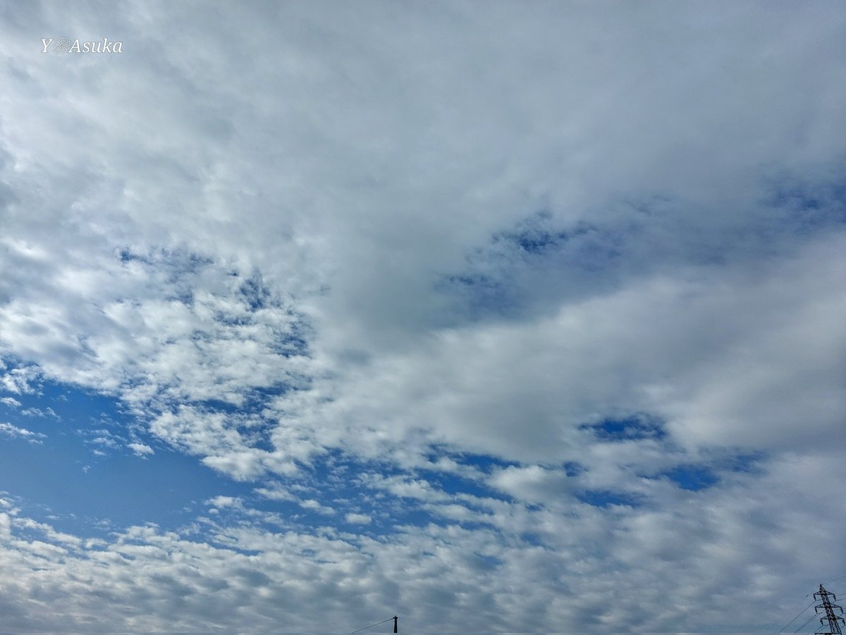 yumeasutw's tweet photo. 空一面 #高積雲 が広がり
南の空にポッカリと青空が覗く
日曜日の朝☁️
予想最高/最低気温🌡️19℃/3℃
曇り☁
時々日が差すものの雲が多く
お天気下り坂⤵
夜遅くに雨が降り出しそうです🌂
#イマソラ #いまそら #波状雲
#空の名前
#天気の図鑑 #雲の超図鑑
#鉄塔
#a2025 #a0302 #a202503 #a2025032 https://t.co/MfGeWfMeKb
