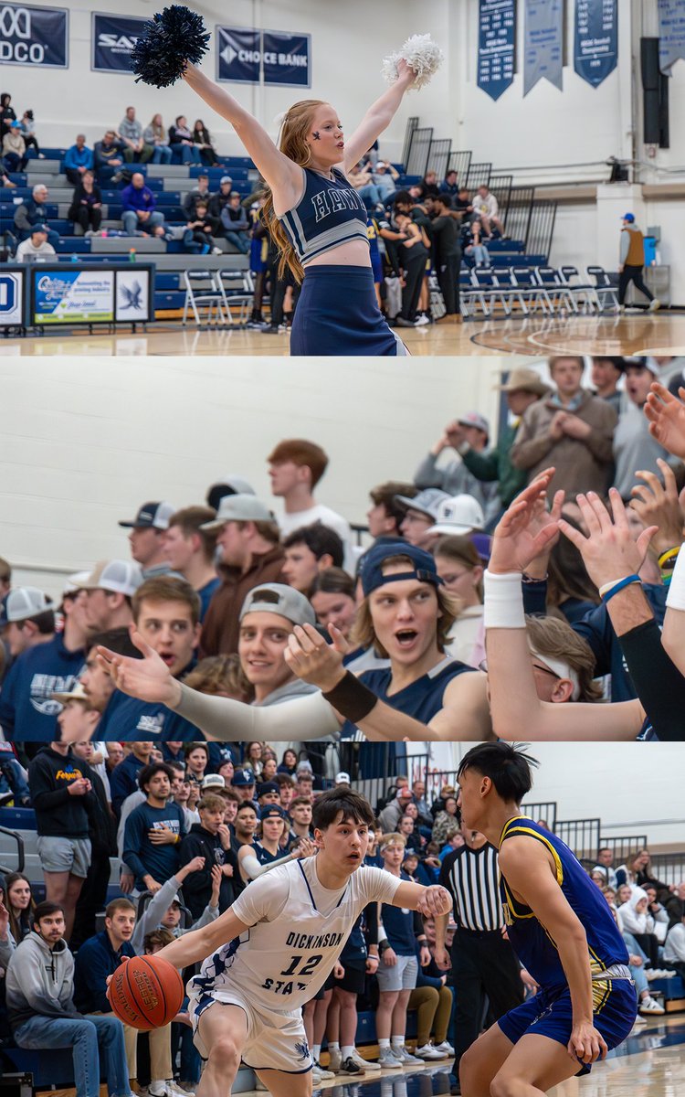 DSU Blue Hawks tweet media
