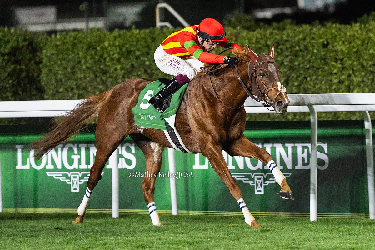 TDN on X: TDN on X: