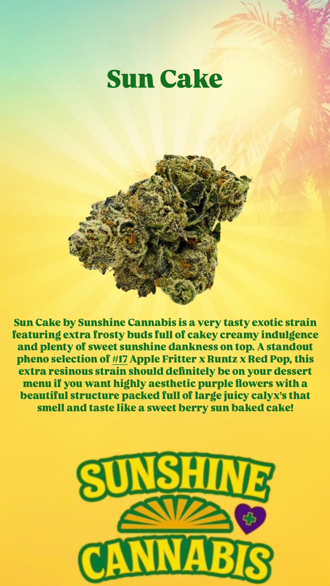 SunshineCannab2's tweet image. Hope the #SunshineFam are having a wonderful weekend. 🫡✨☀️ Lots of fresh strains , CDT TruPODs, and concentrates are being restocked at your #Florida @Trulieve #MMTC 💚🏆 Be on the lookout for your favorite #SunshineCannabis medicine🔥🙌🏼 

#Trulieve #NaturalRelief #Saturday