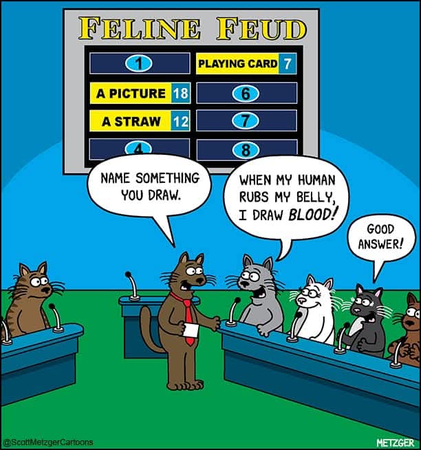 #ChatmediDeRire En général, les chats n'aiment pas se faire toucher le ventre. #Caturday #ComportementFélin