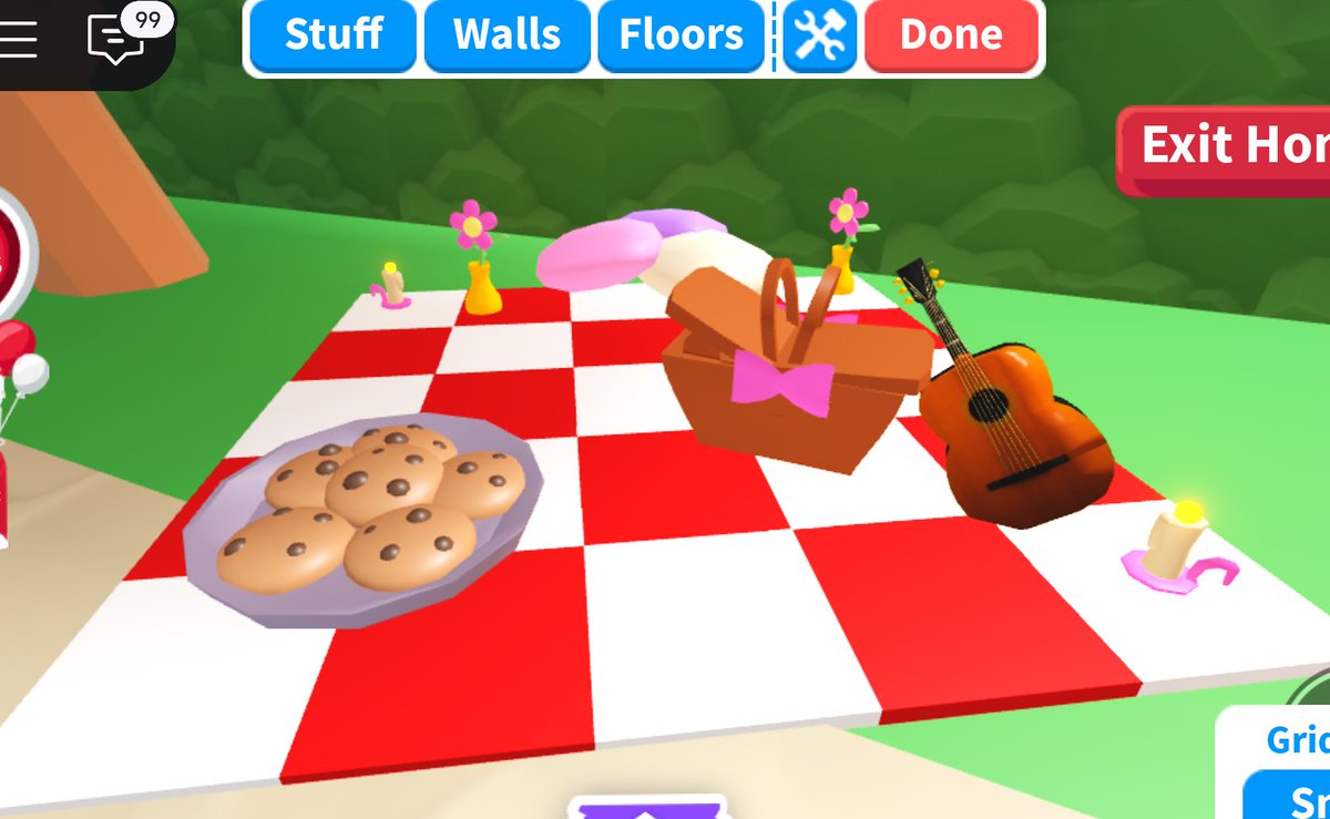 Just having a little picnic🎀🍪